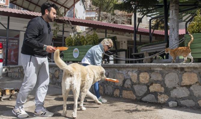 Gönüllüler sokak hayvanlarını besledi