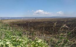 Göksu Deltası’nda çıkan yangın kendiliğinden söndü