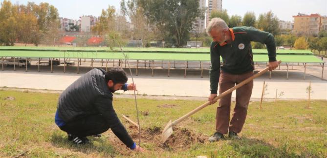 Toroslar’da yeşil alanların bakımı yapılıyor
