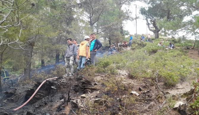 Mersin’de orman yangını büyümeden söndürüldü