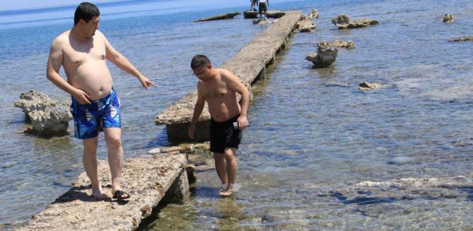 Akdeniz sahillerinden sevindiren haber: Sayıları günden güne azalıyor