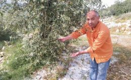 Tarsus’ta dolu ve fırtına etkili oldu