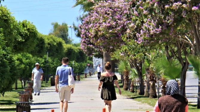Mersin’de yaz havasıyla orkide ağaçları çiçek açtı, karsambaç satışları başladı