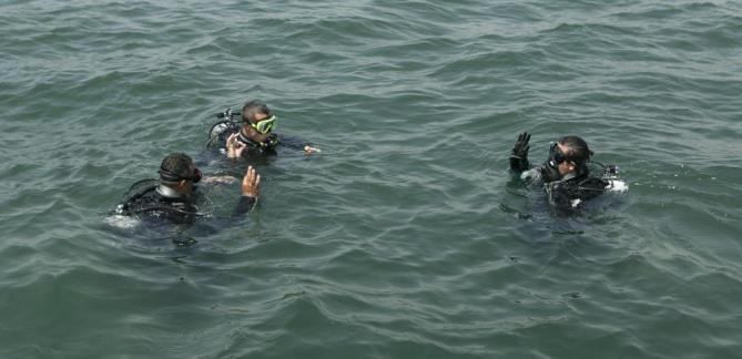 Mersin’de denize bırakılan yapay resiflerde canlı yaşam başladı