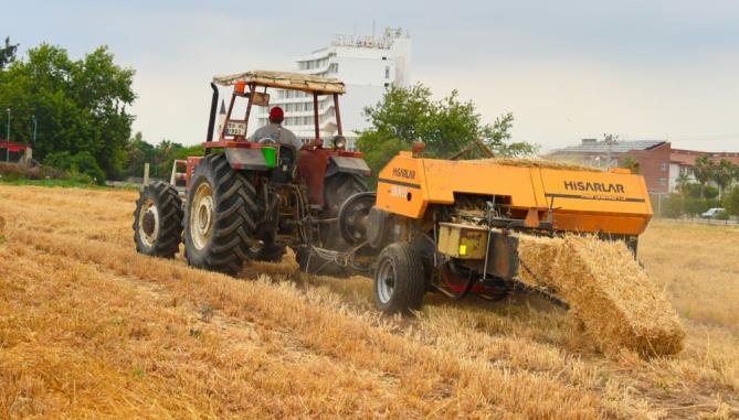 Tarsus Belediyesi, hayvan üreticilerine 22 ton saman balyası dağıtacak