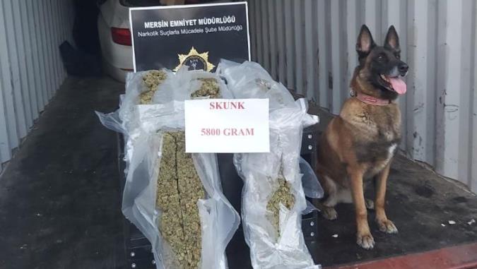 Mersin’de Mayıs ayında 43 torbacı tutuklandı