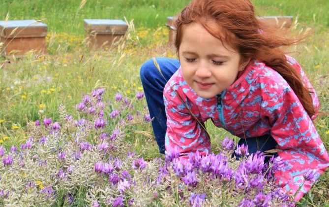 Her yerde yaz, orada bahar