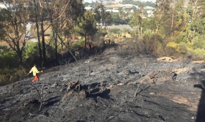 Anamur’da tarımsal alandaki yangın ormana 100 metre kala söndürüldü