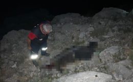 Kayıp çoban ölü bulundu