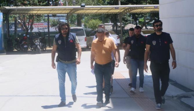 Asırlık ağacın kurutulmasında gözaltına alınanlar serbest bırakıldı