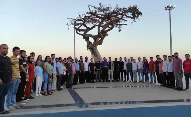 AK Partili gençlerden Mersin’deki ağaç katliamına tepki