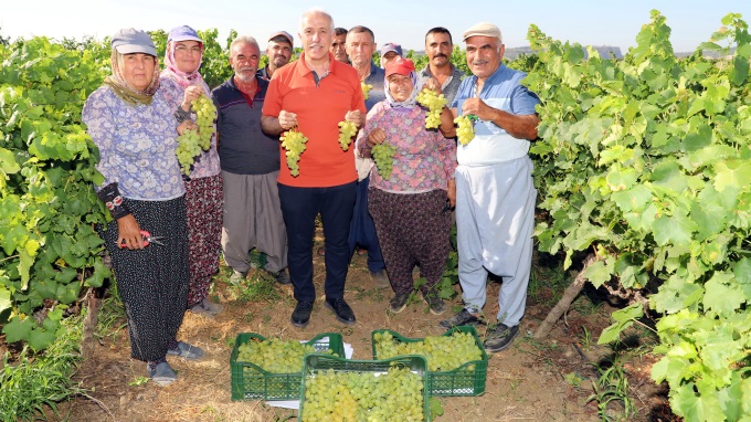 Başkan Gültak, Mersinlileri üzüm şenliğine davet etti