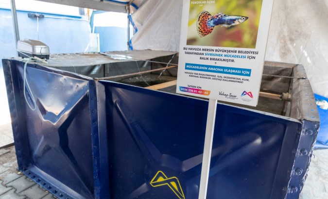 Sivrisinekle mücadele için 37 bin balık havuzlara bırakıldı