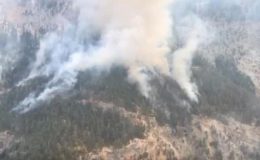 Mersin’deki orman yangınına müdahale ediliyor