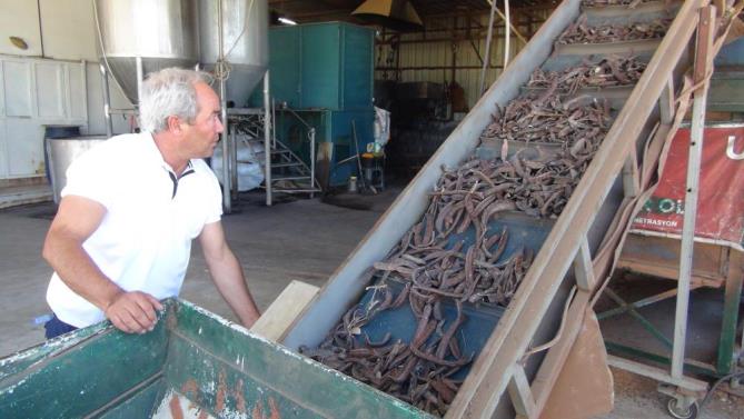 Hırsızlar 5 dakikada 20 bin liralık harnup çaldı