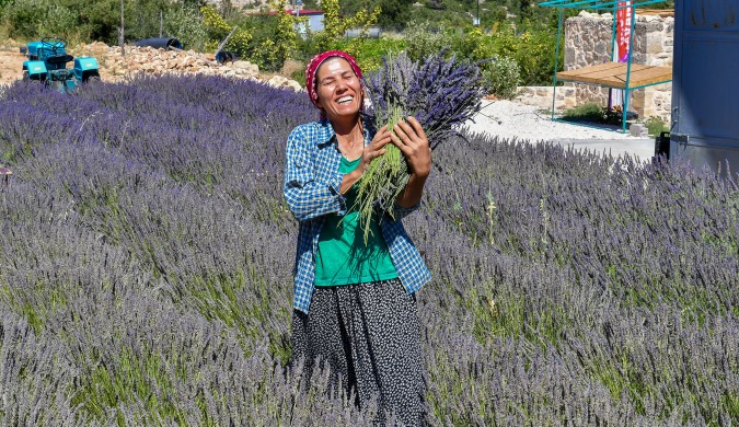 Mersin’de köylüler lavantayı sevdi