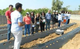 Öğrenciler, okulun bahçesine çilek fidesi dikti