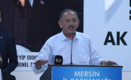 AK Parti Genel Başkan Yardımcısı Özhaseki: Muhalefetin yerli ve milli olmasını beklemek hakkımızdır