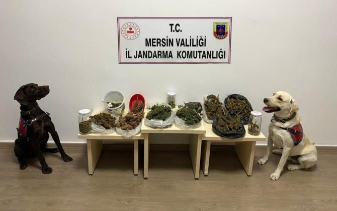 Mersin’de uyuşturucu operasyonu