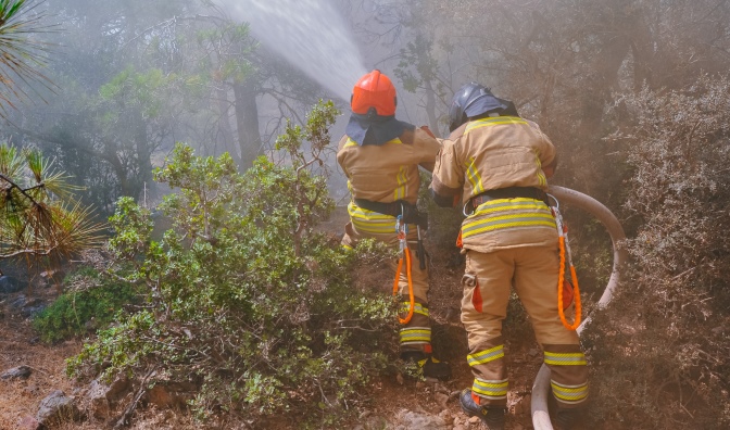 Akkuyu NGS’de acil durum birimleri için eğitim seminerleri düzenlendi