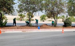 Mersin’de 5 büyük ilçede refüj düzenlemesi yapılıyor