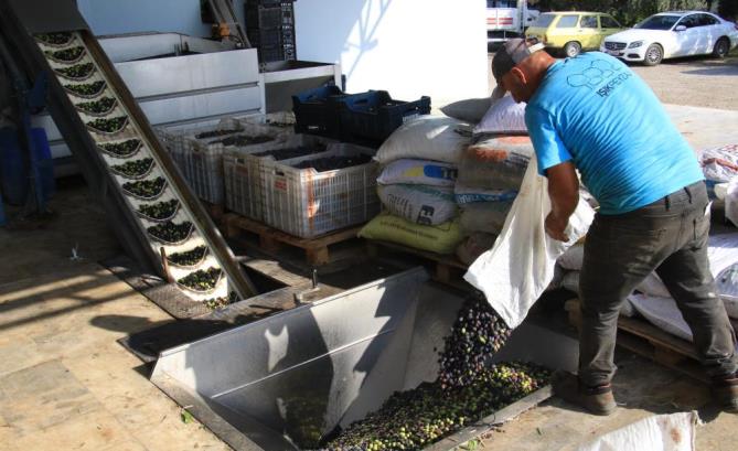 Bu sene bereket yılı, dünya talep ediyor