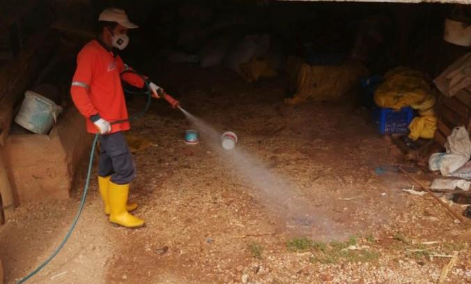 Mut’ta sinek ve haşereyle mücadele