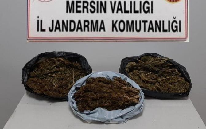 Mersin’de 10 kilo 248 gram skunk ele geçirildi