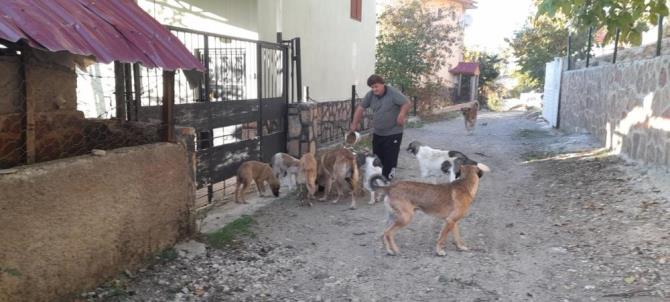 Yaylalar boşalınca aç kalan hayvanları muhtar doyurdu