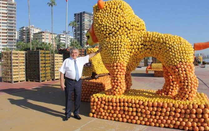 Mersin, Narenciye Festivali’ne hazırlanıyor