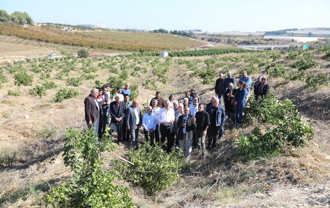 Başkan Tarhan, Limon bahçesine yapılan saldırıya tepki gösterdi