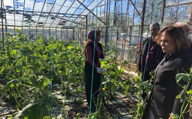 AK Parti Milletvekili Yılmaz, Silifke’de doludan zarar gören seralarda incelemelerde bulundu