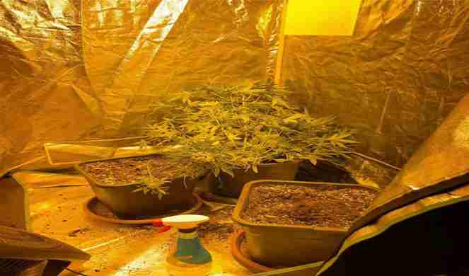 Mersin’de uyuşturucu operasyonu