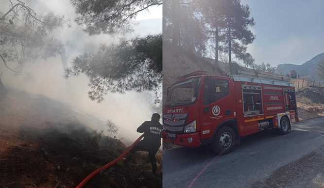 Mersin’de orman yangını, kontrol altına alındı