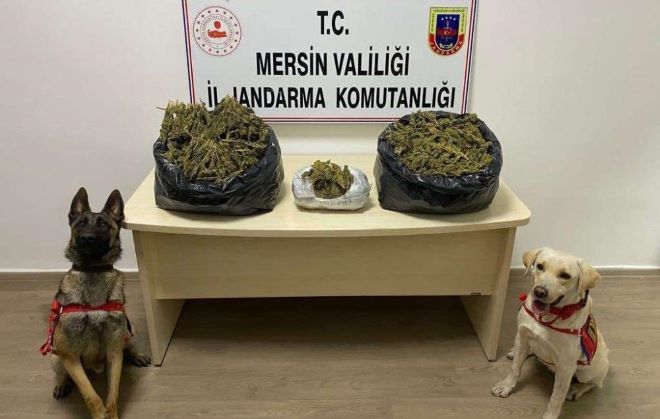 Mersin’de uyuşturucu operasyonu: 2 gözaltı