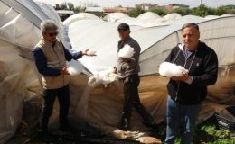 Şiddetli dolu serayı çökertti, açıktaki ürünlere ağır hasar verdi