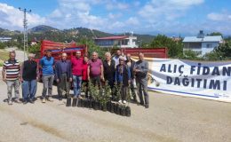 Büyükşehir Belediyesinden üreticilere alıç fidesi desteği