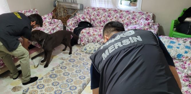 Mersin’de torbacılara yönelik operasyon; 16 gözaltı