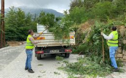 Toroslar Belediyesin, yaylalarda ağaç budama ve çevre düzenleme çalışmalarına devam ediyor