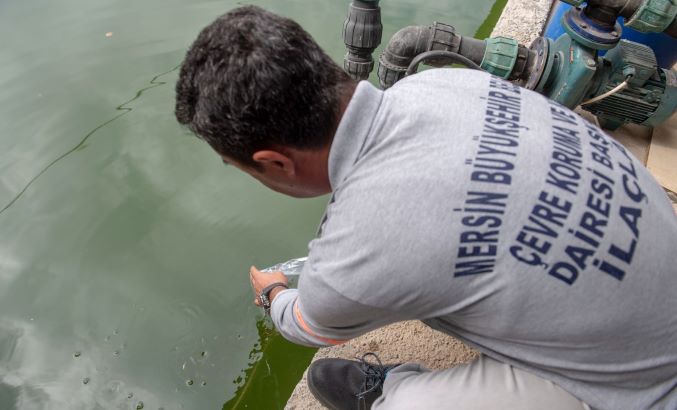 10 bin sulama göletine binlerce Lepistes balığı bırakıldı