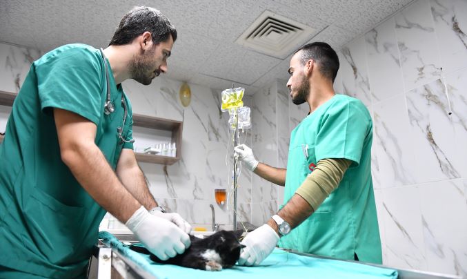 Kaşlı Bakımevi binlerce patili dostun yaşamına dokundu