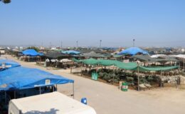 Toroslar, Kurban Bayramı’na hazır