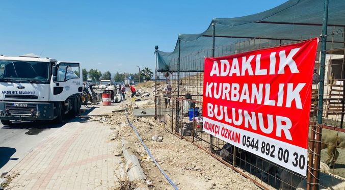 Akdeniz’de Kurban Kesim ve satış yerleri hazır
