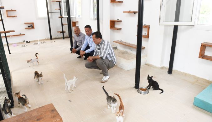 CHP Mersin milletvekilleri Yenişehir Belediyesinin hayvan bakımevini gezdi