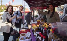 Kırsal Mahalle buluşmaları Taşkuyu’da şenliğe dönüştü