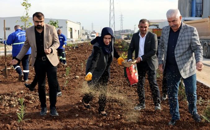 Akdeniz yeni bir yeşil alan kazanıyor