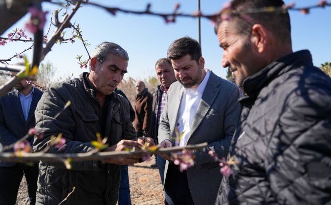 Tarsus Belediyesinden zirai don yiyen çiftçilere destek