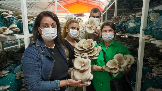 Tarsus’ta kursiyerler mantar hasadı yaptı