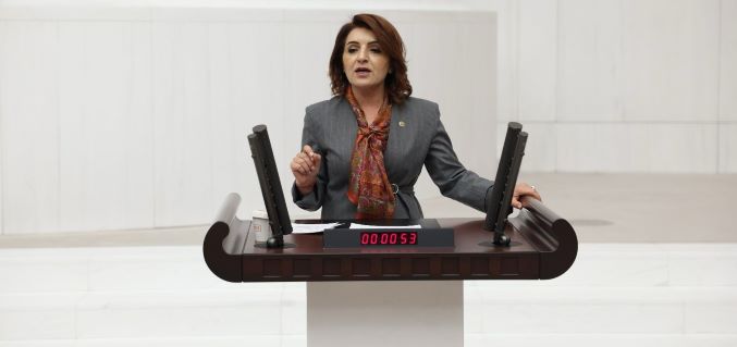 Gülcan Kış’tan Aile Yılı Tepkisi: Siz Aileyi Günlük 8 TL’ye Mahkûm Ettiniz, Hatıra Parasıyla mı Kurtaracaksınız?