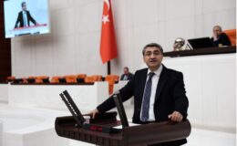 DEVA Partili Ekmen: Emek siyasette yeterince temsil edilmiyor